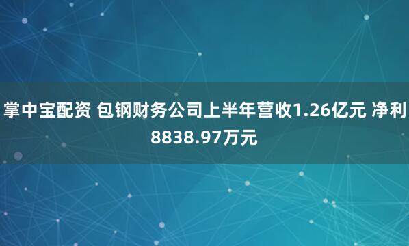掌中宝配资 包钢财务公司上半年营收1.26亿元 净利8838.97万元
